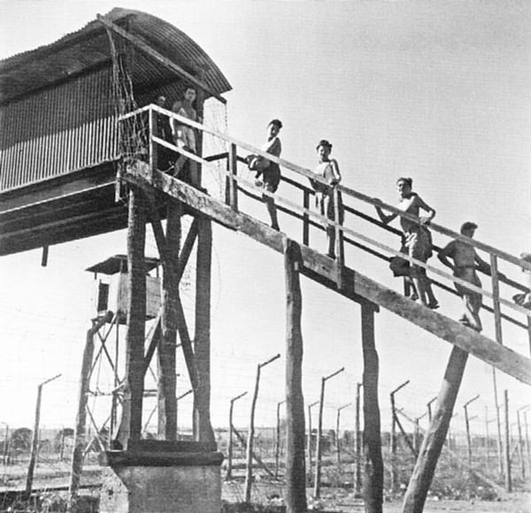 הגשר בין המחנות